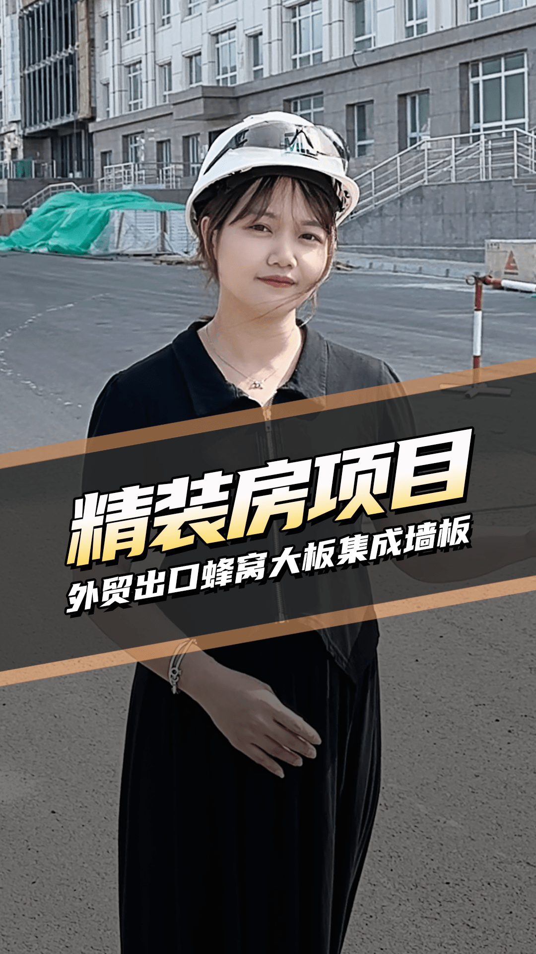 巴迪斯精裝房項目外貿(mào)出口蜂窩大板集成墻板